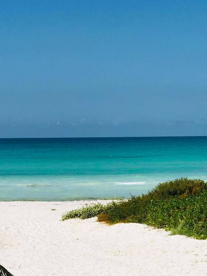Apartmán Cabana Colibri A 50 Metros De La Playa El Cuyo Exteriér fotografie